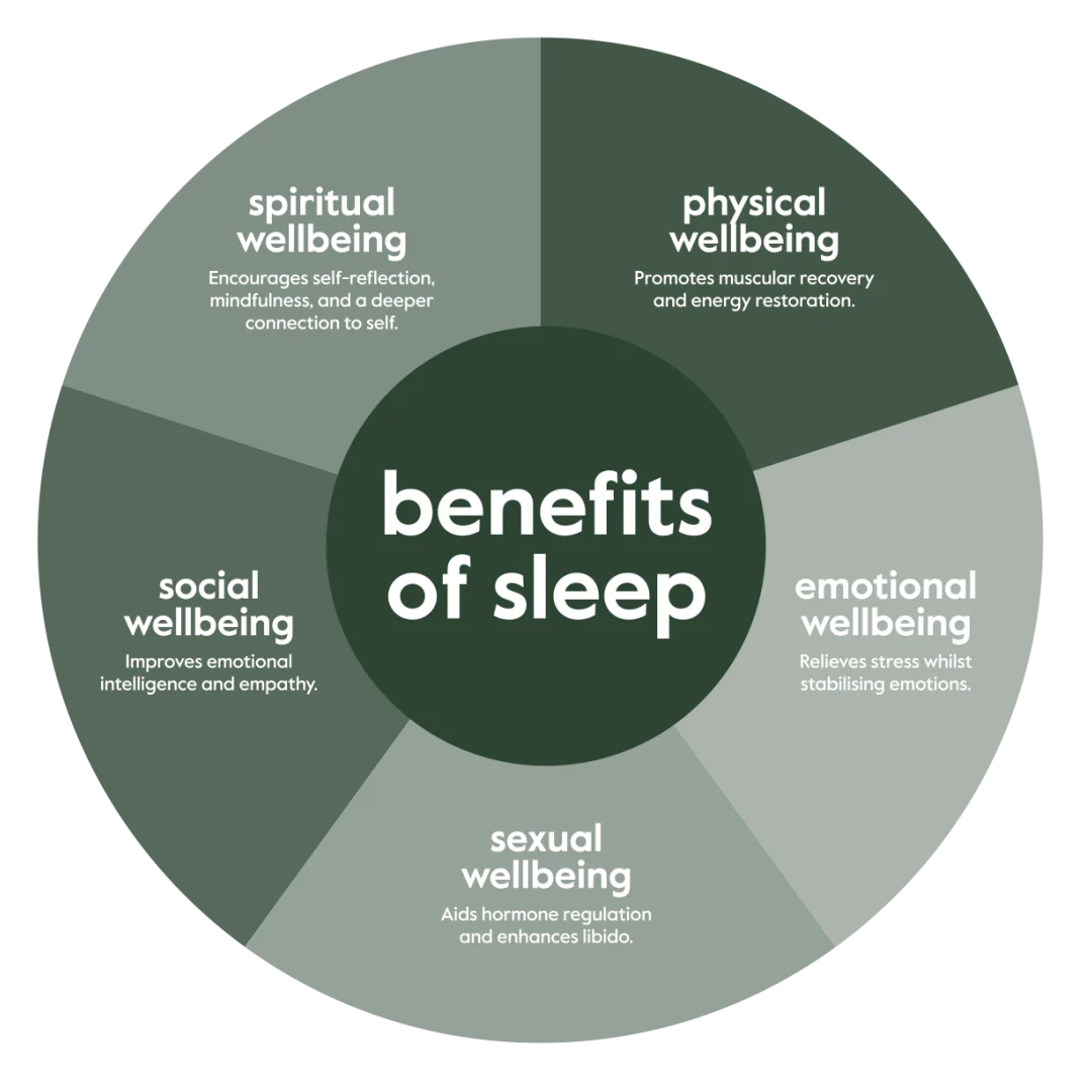 Role of Sleep